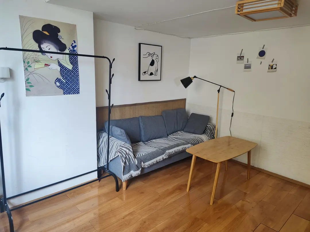 春熙路 IFS 对面精装跃层套一出租 近 2/3 号线地铁